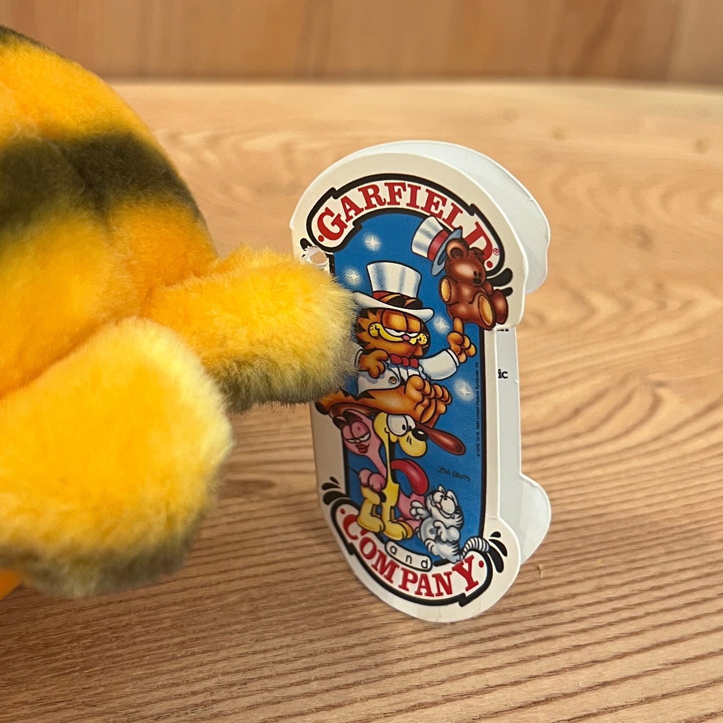 GARFIELD - USER FRIENDLY