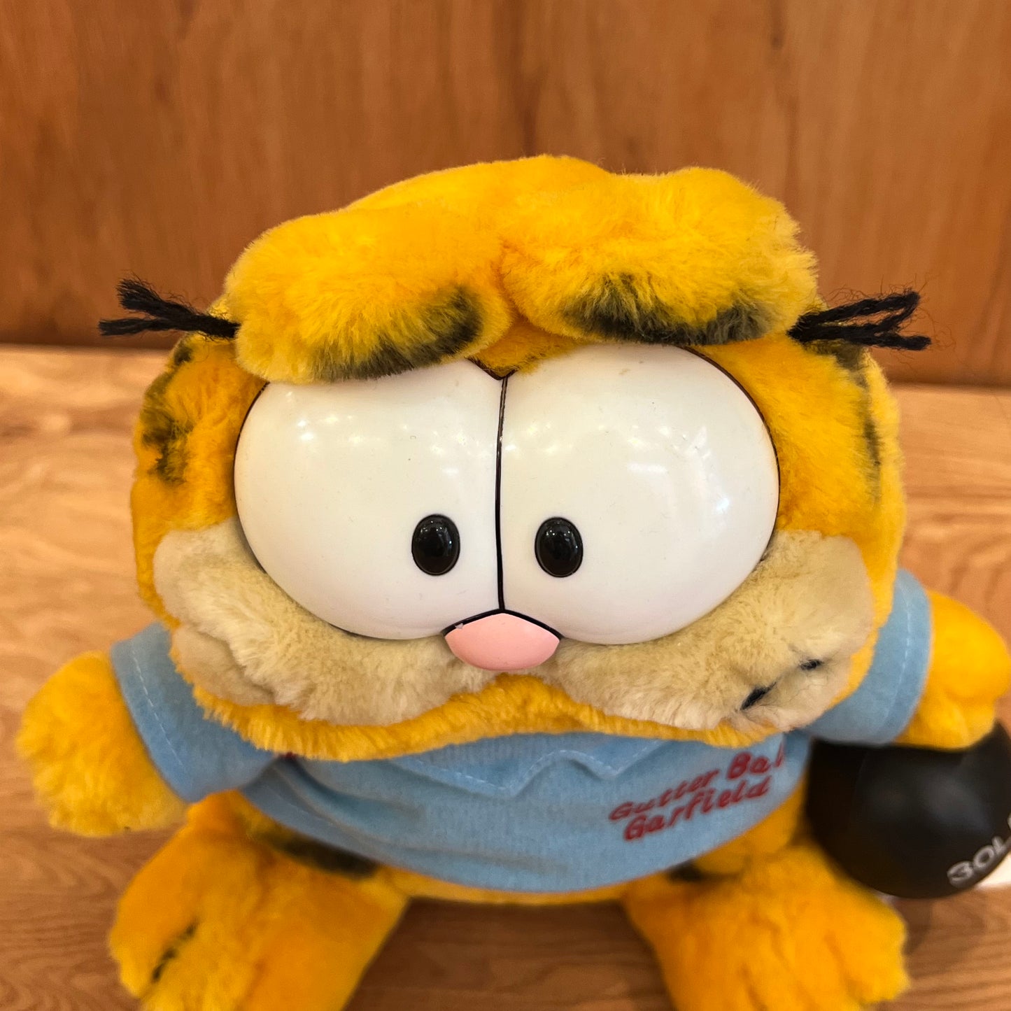 GARFIELD - GUTTER BALL GARFIELD