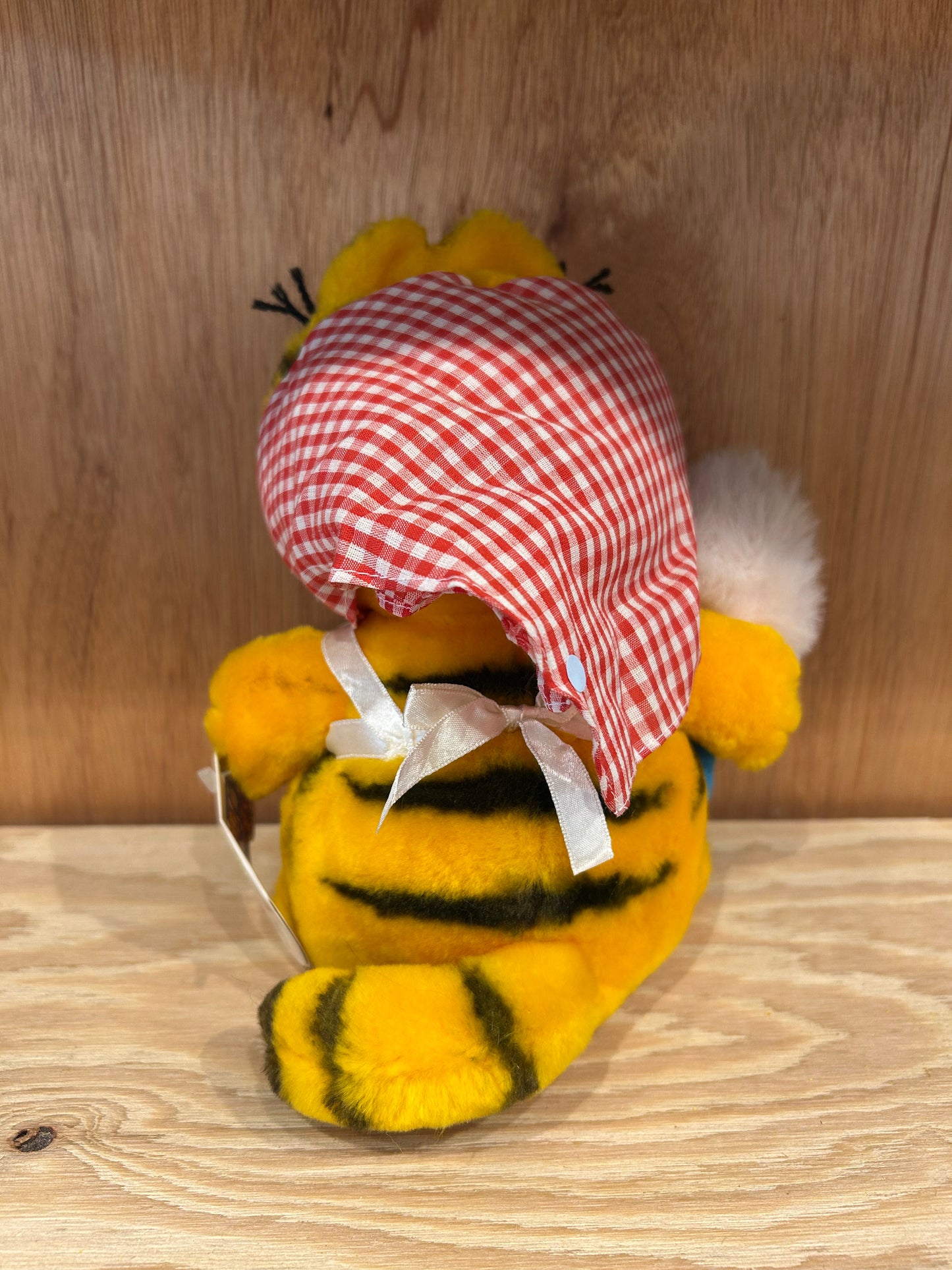 GARFIELD - I DON'T DO WINDOWS