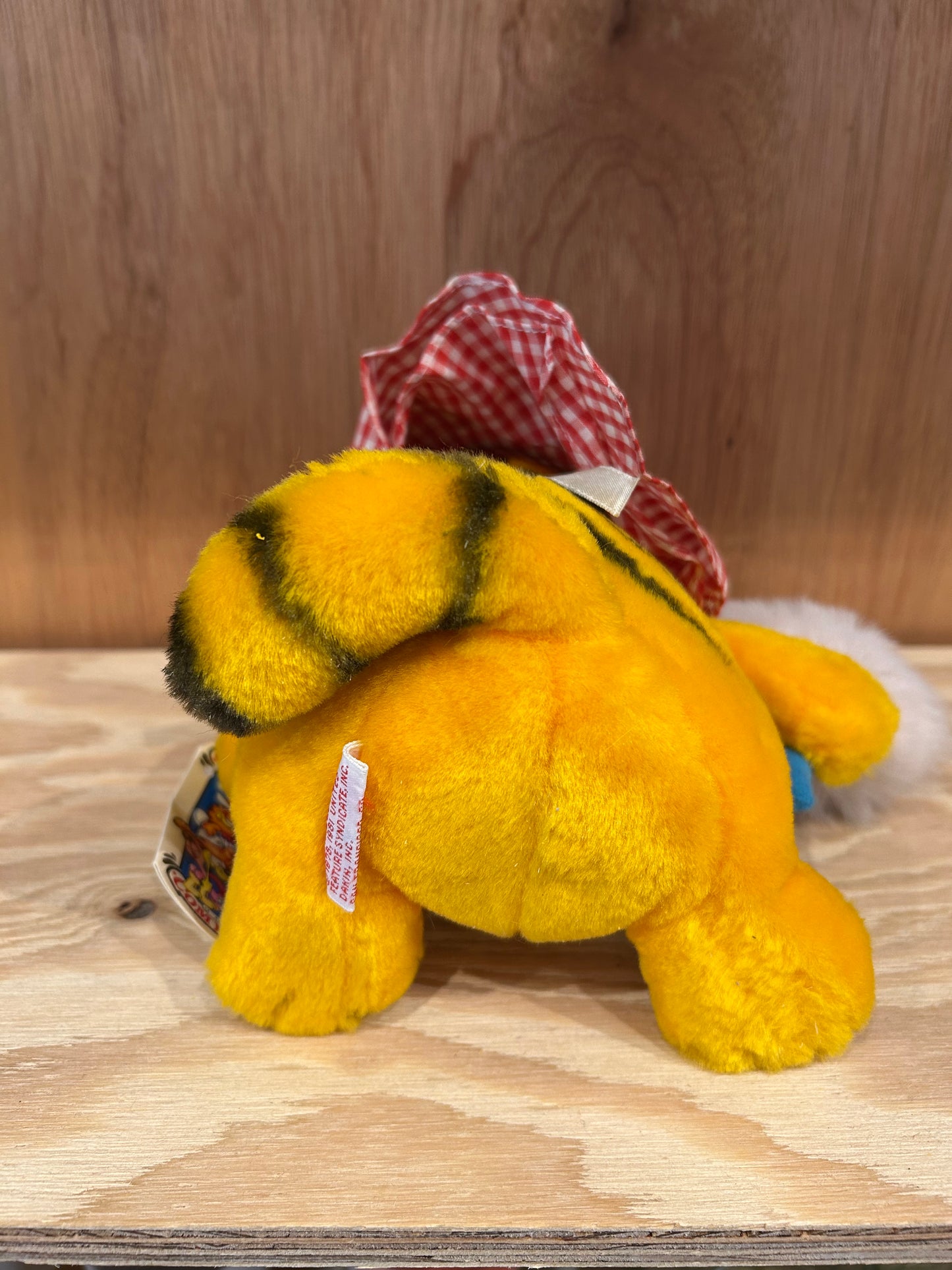 GARFIELD - I DON'T DO WINDOWS