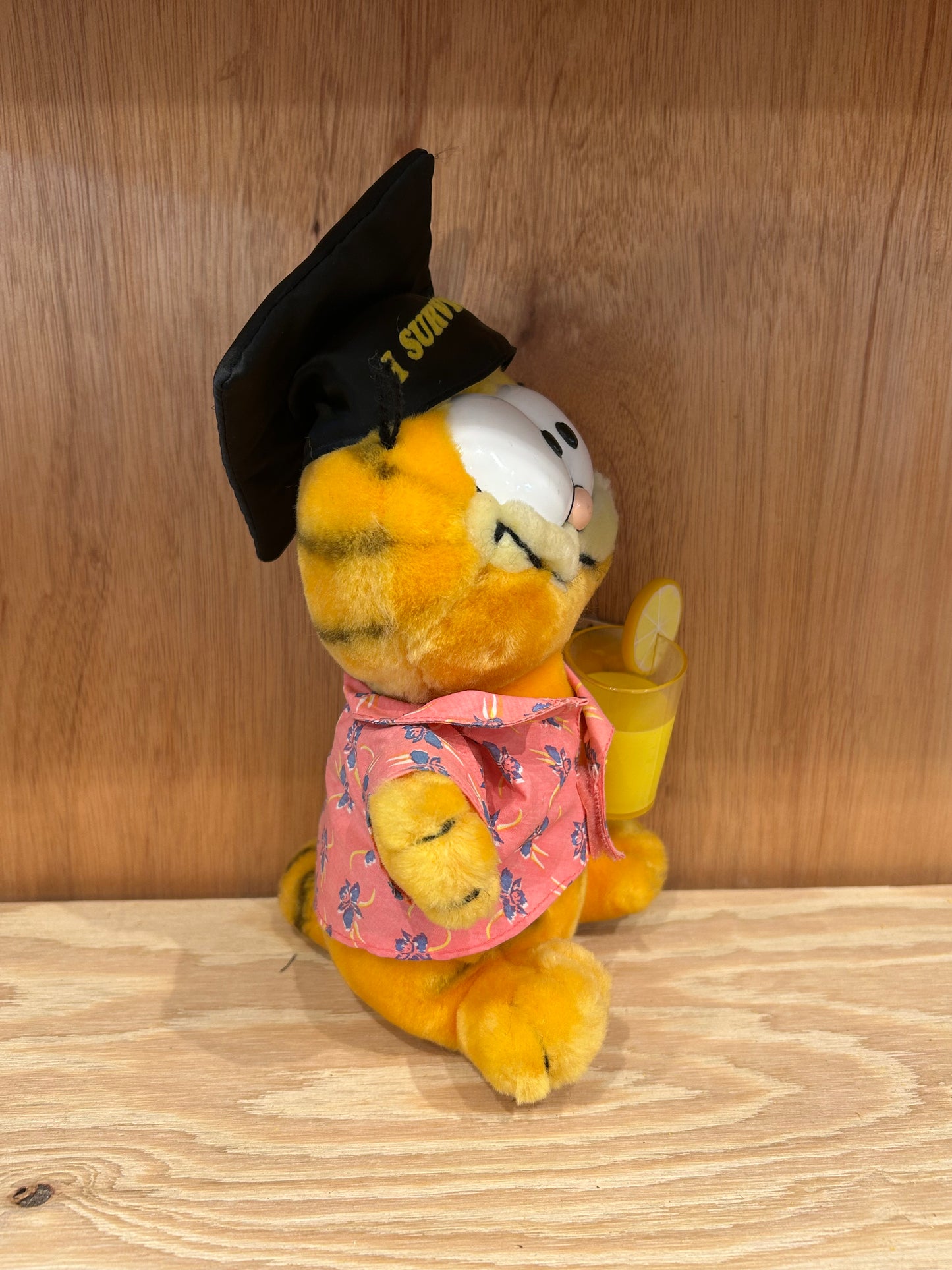 GARFIELD - GRADUATION