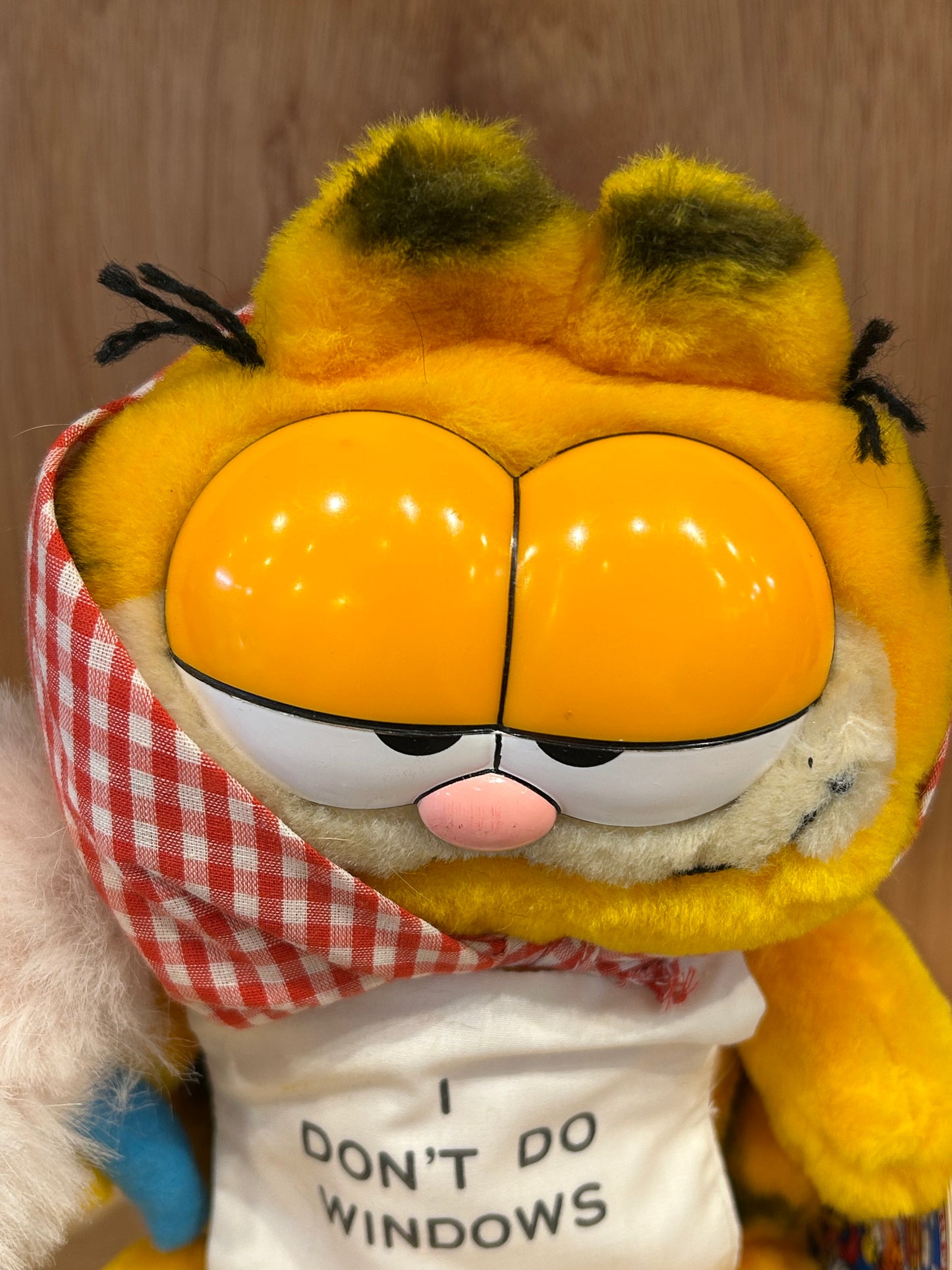 GARFIELD - I DON'T DO WINDOWS