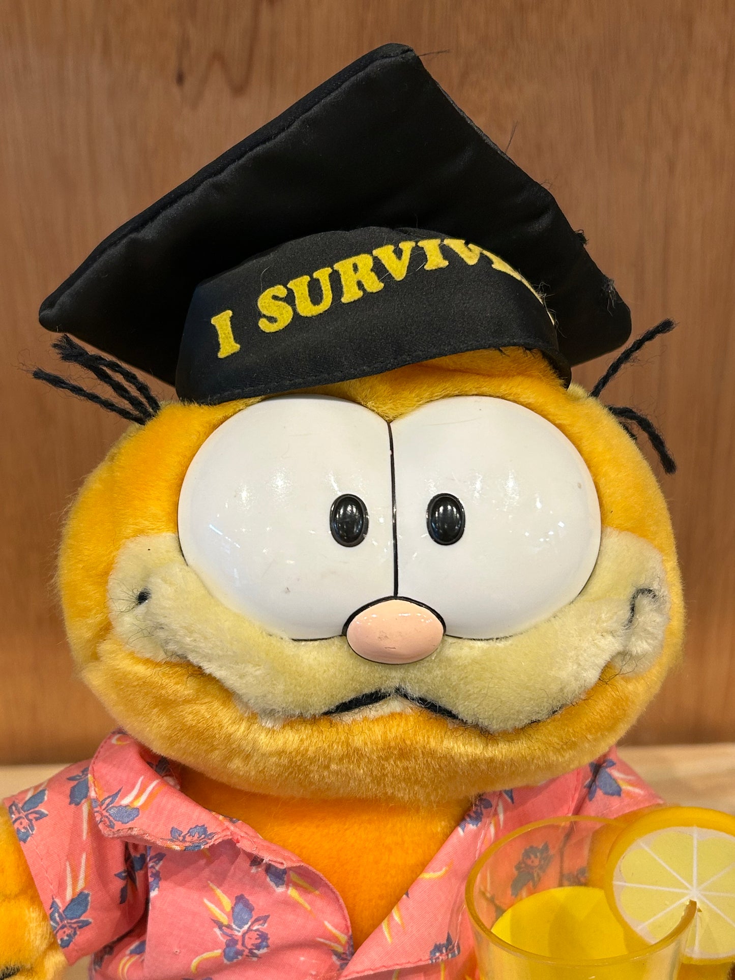 GARFIELD - GRADUATION