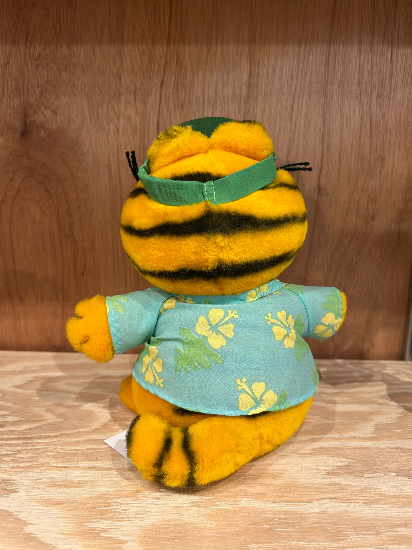 GARFIELD - TOURIST