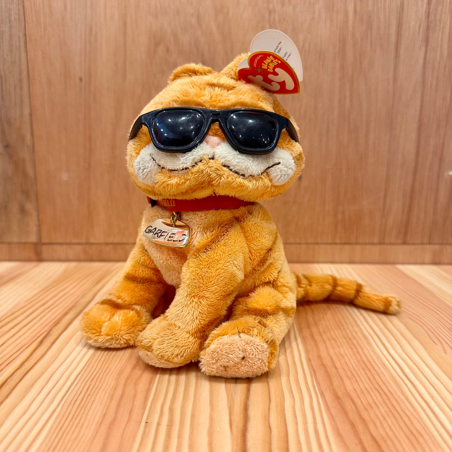 GARFIELD - SUNGLASSES [ty]