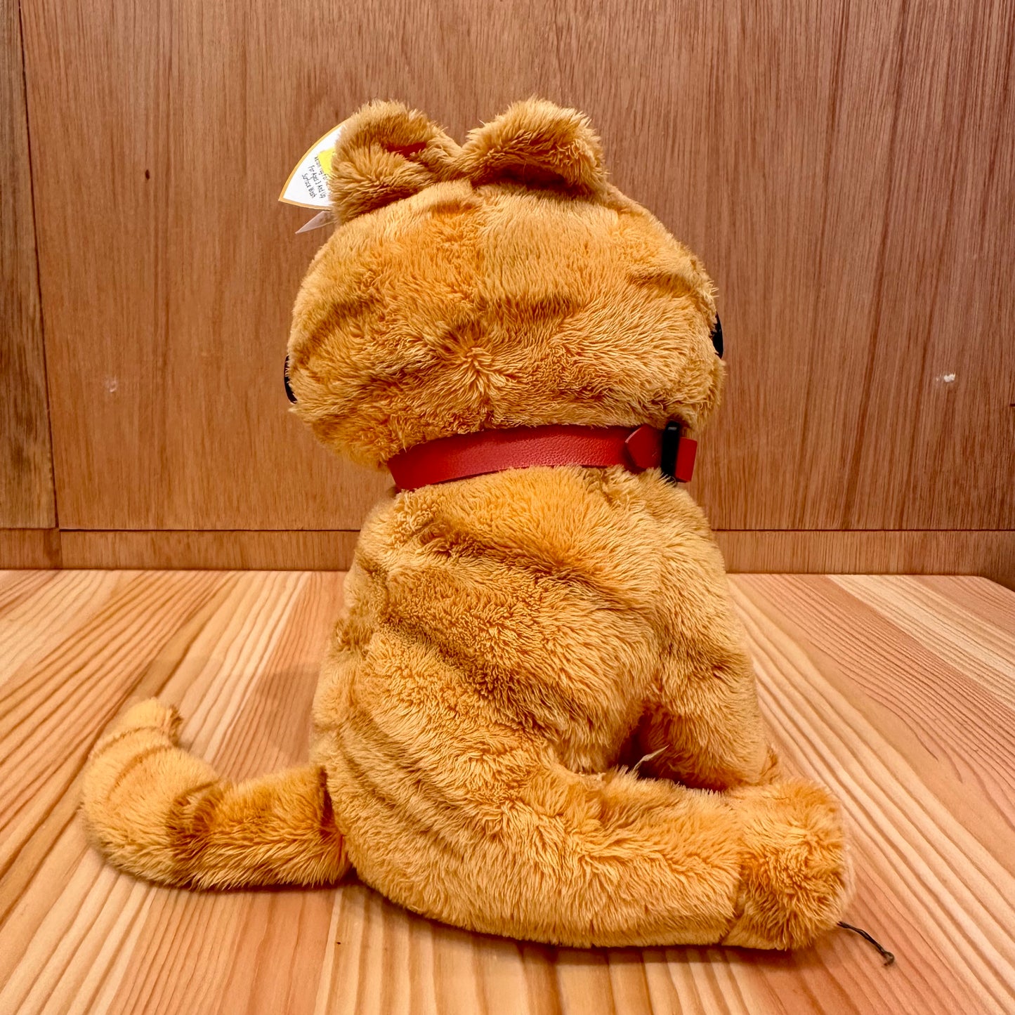 GARFIELD - SUNGLASSES [ty]
