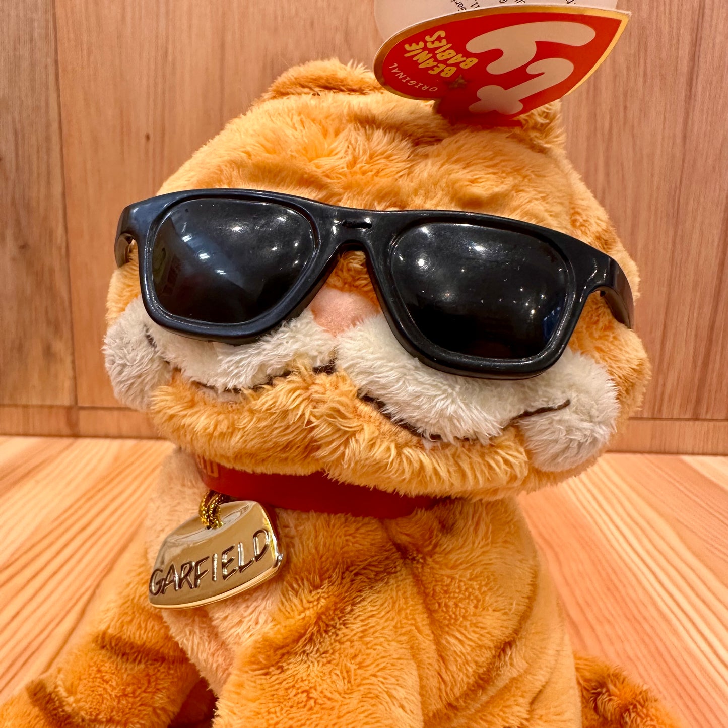GARFIELD - SUNGLASSES [ty]