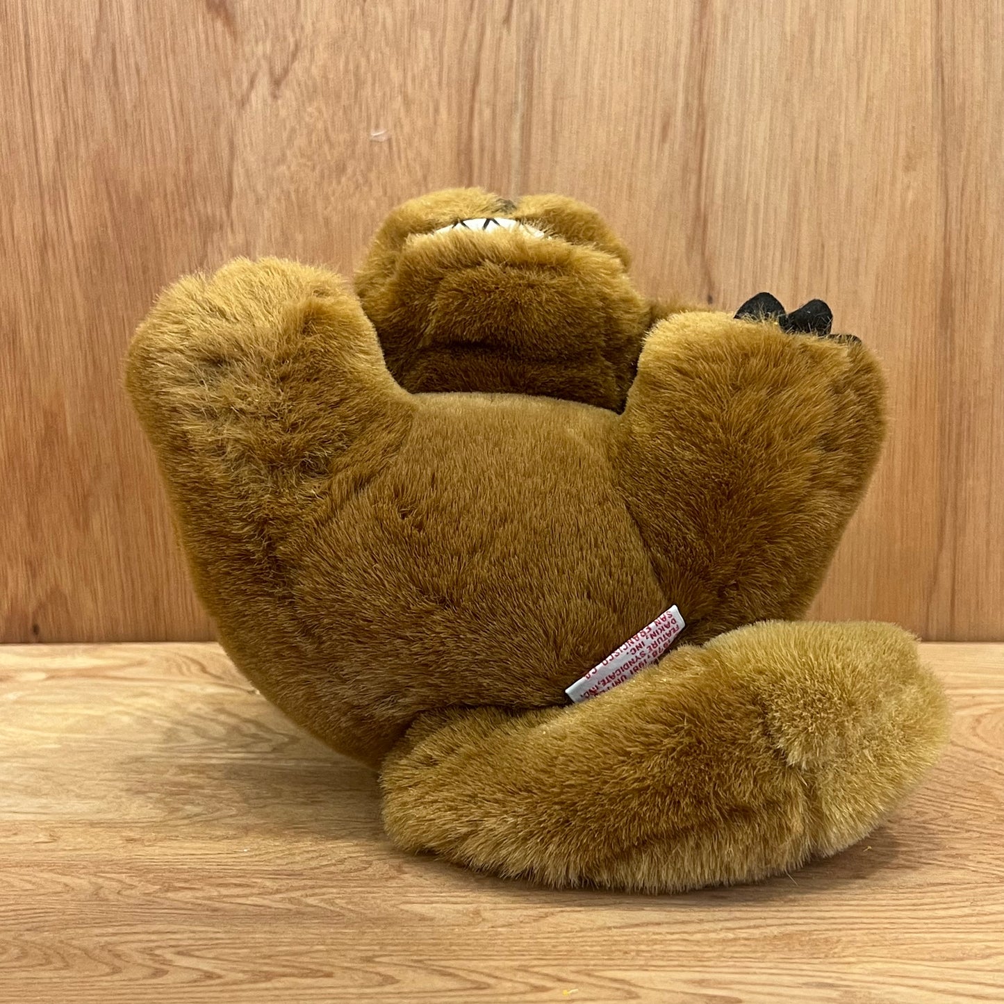 GARFIELD - BEAR