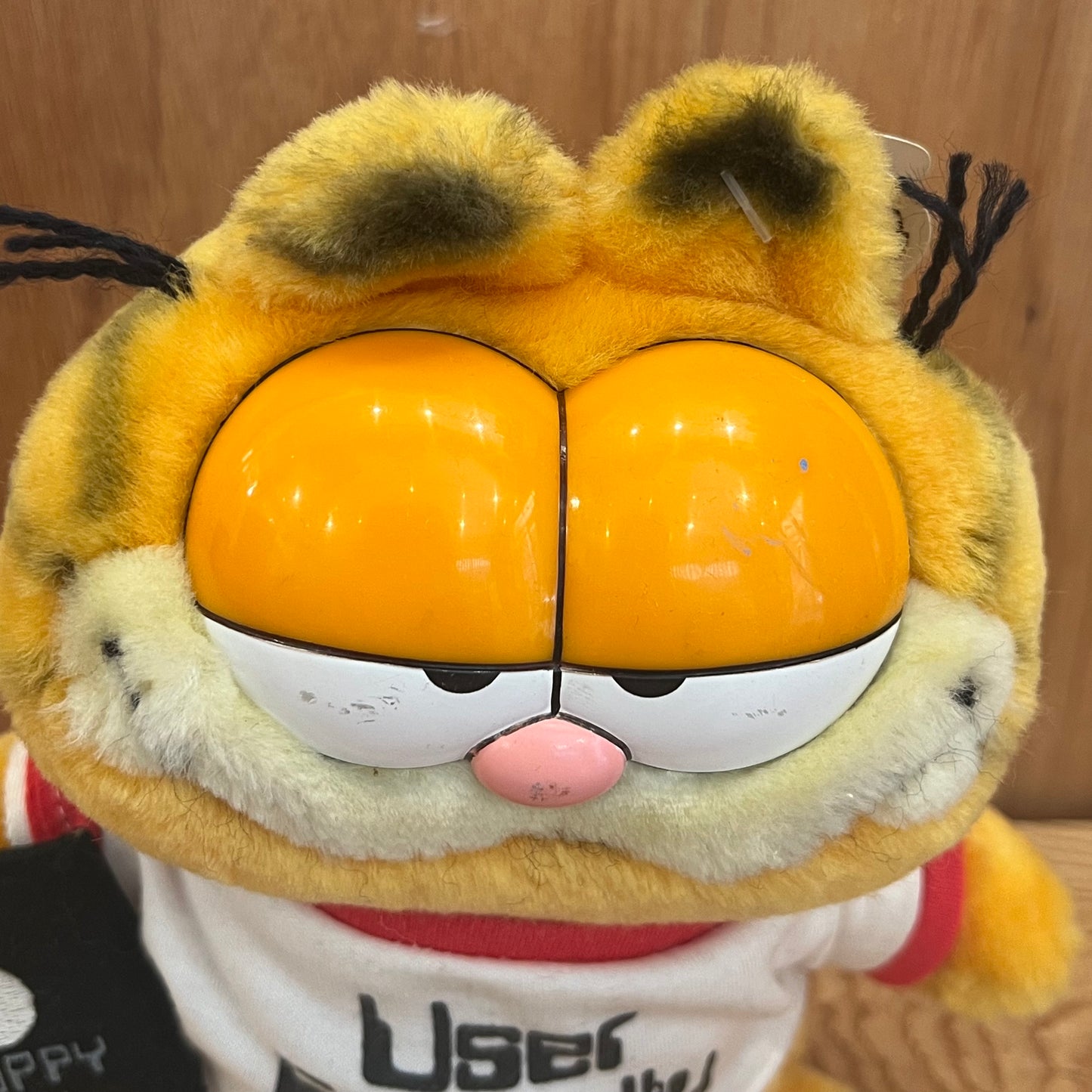 GARFIELD - USER FRIENDLY