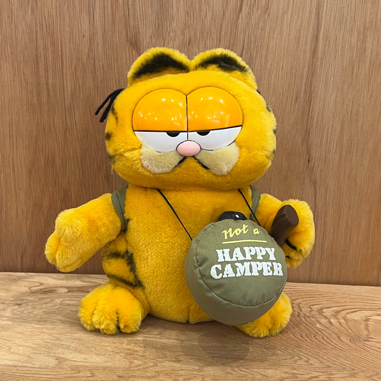 GARFIELD - NOT A HAPPY CAMPER