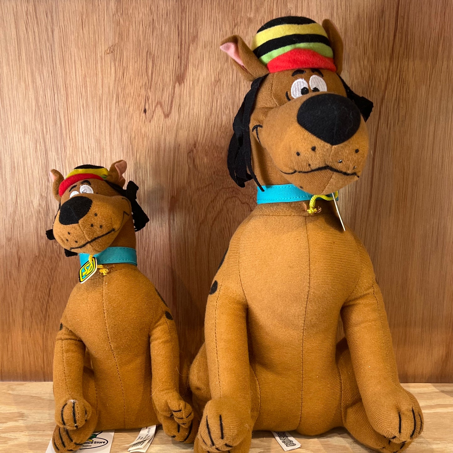 SCOOBY-DOO REGGAE SMALL