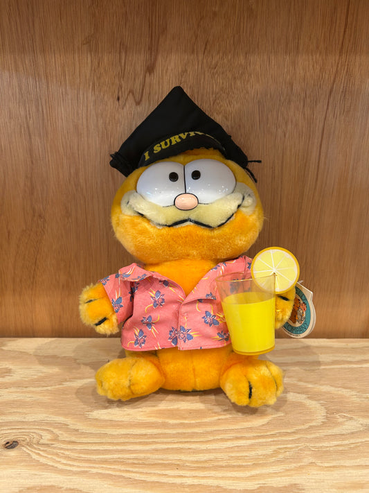 GARFIELD - GRADUATION