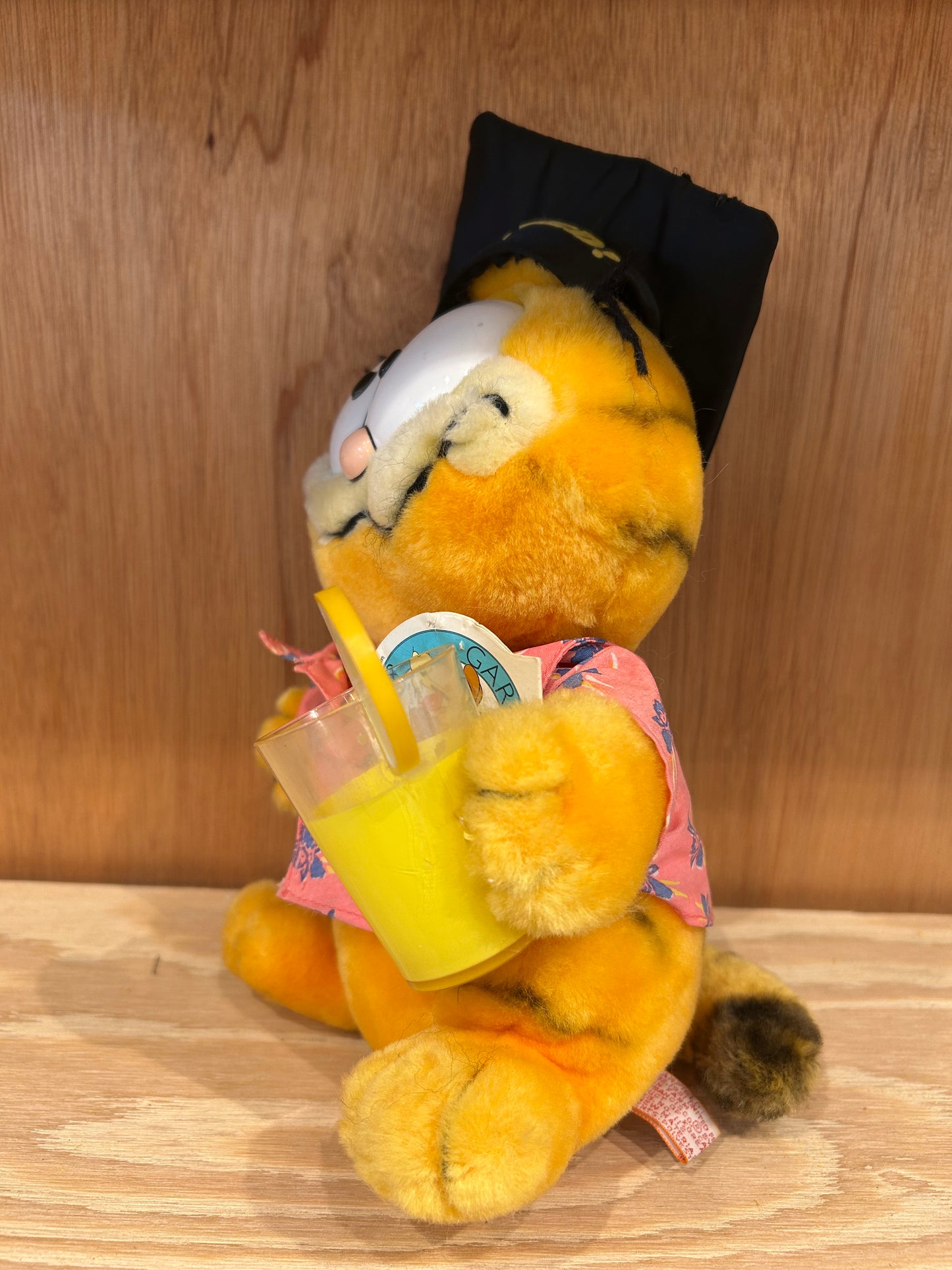 GARFIELD - GRADUATION
