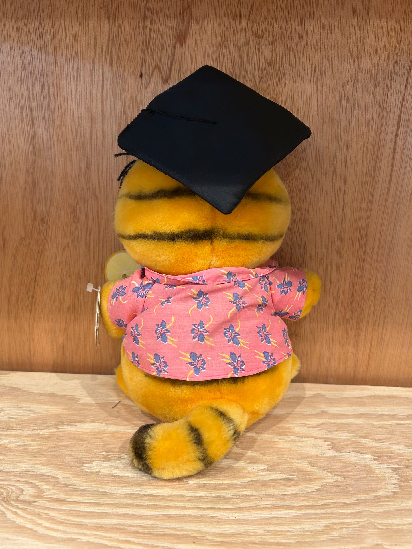 GARFIELD - GRADUATION