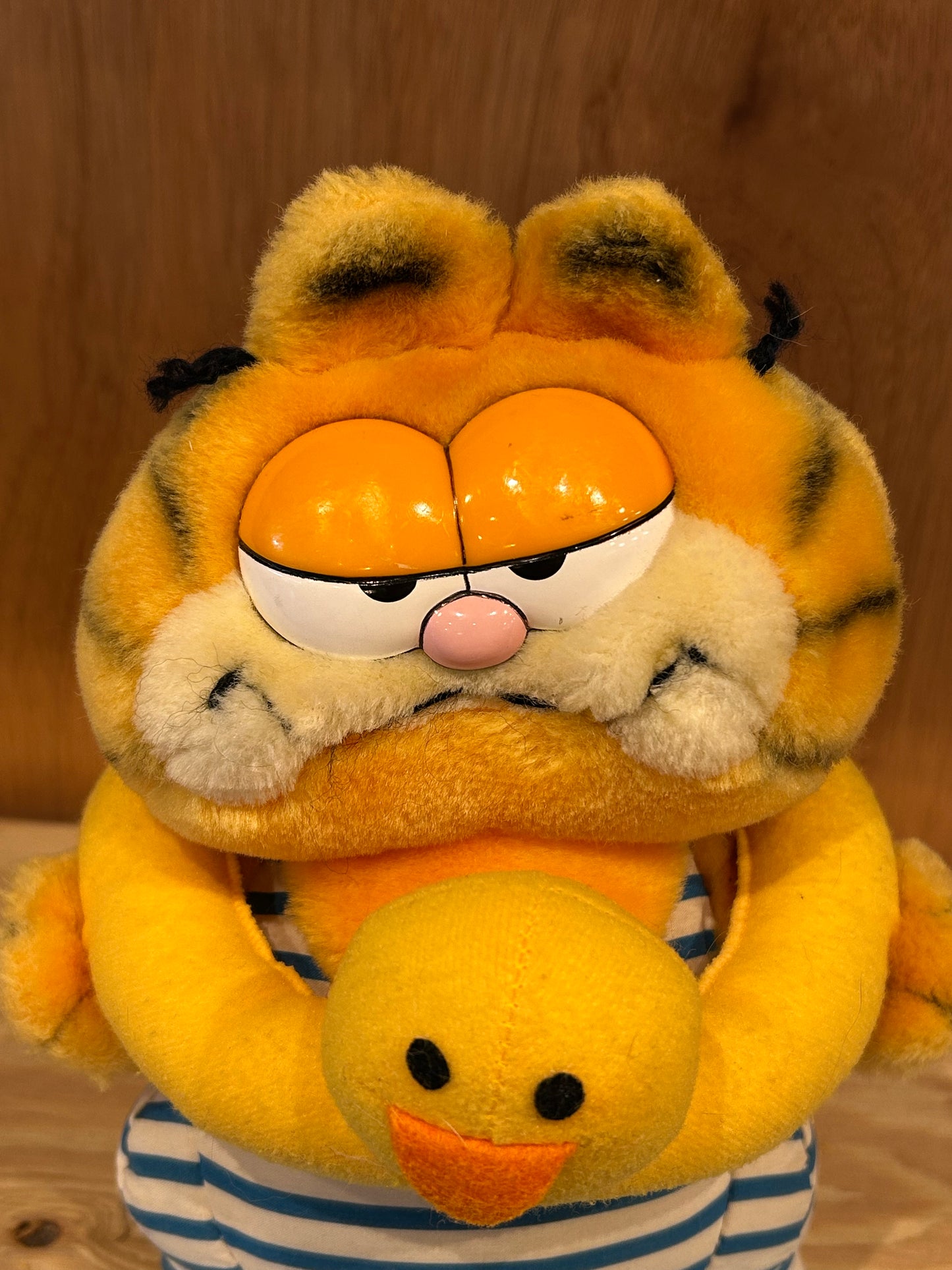GARFIELD - SWIMMER